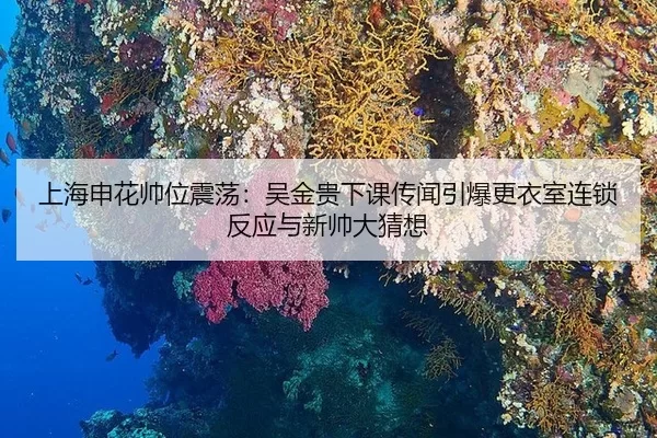 上海申花帅位震荡：吴金贵下课传闻引爆更衣室连锁反应与新帅大猜想